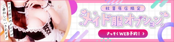 秋葉原店限定 メイド服オプション